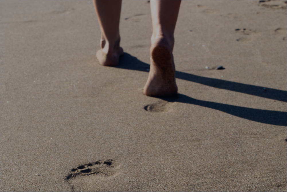 Read more about the article Um passo hoje pode mudar toda uma história